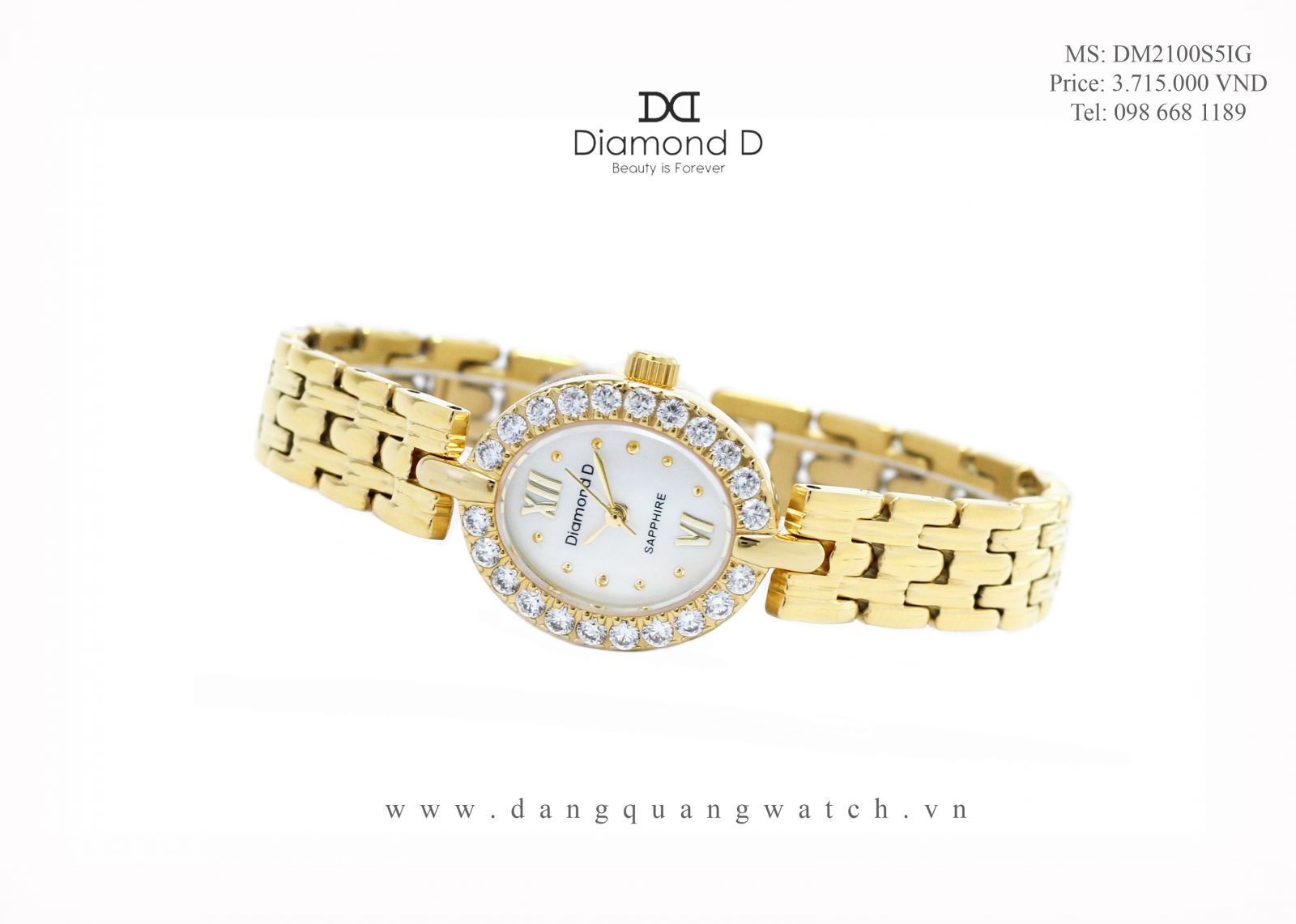 đồng hồ diamond d DM2100S5IG