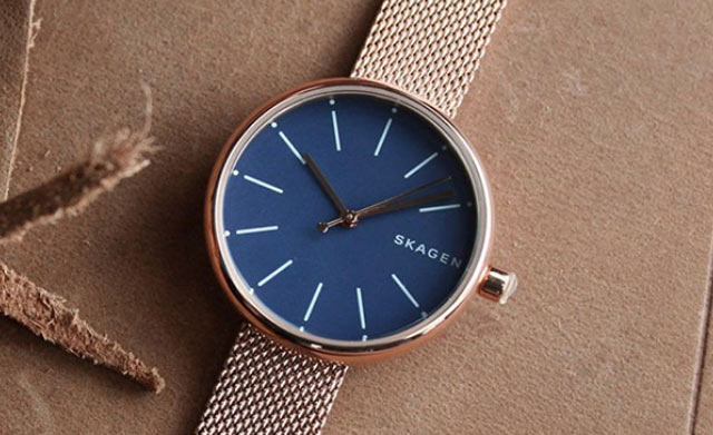 Thương Hiệu Đồng Hồ Thế Giới Di Động - Skagen
