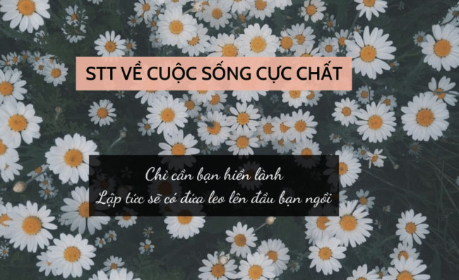 STT cap hay về cuộc sống cực chất