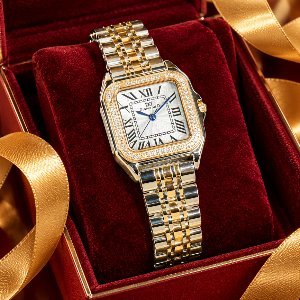 Đồng hồ Diamond D DM1010-2TG
