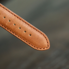 dong-ho-aries-gold-ag-g9005a-bk-bk