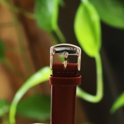 Dong-ho-Aries-Gold-AG-L1002-S-BR