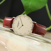 Dong-ho-Aries-Gold-AG-L1002-S-BR