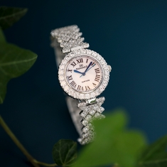 dong-ho-diamond-d-dm6305b5